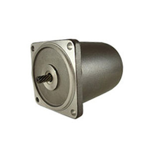 Motor de inducción - 80 series - Zhejiang Dongzheng Motor Co., Ltd. - AC / 220V / 110 V