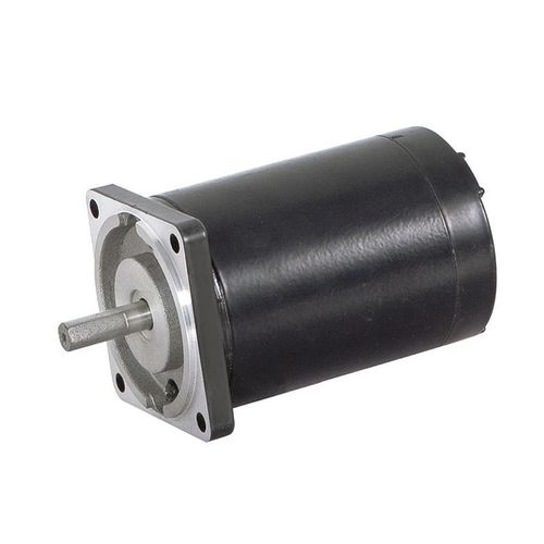 Motor con escobillas - 60ZY95 - Zhejiang Dongzheng Motor Co., Ltd. - DC / 24 V / 12 V