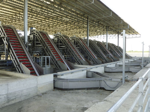Transportador elevador - Agromeccanica srl