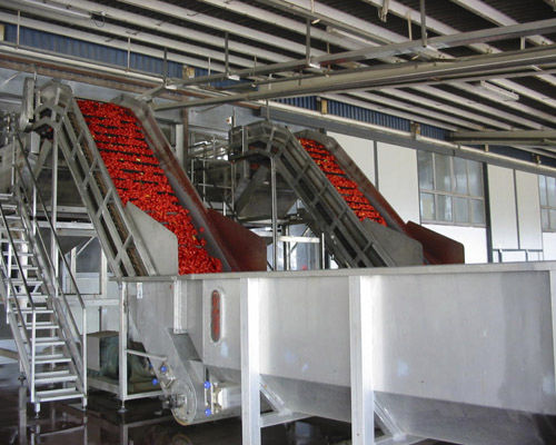 Transportador de cinta de charnela - Agromeccanica srl - inclinado / elevador / para fruta