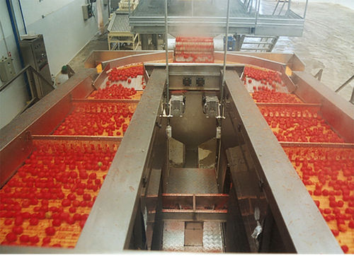 Peladora tomates - Agromeccanica srl - de castañas