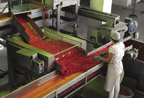 Transportador de rodillos - Agromeccanica srl - de vaciado / para fruta / para tomates
