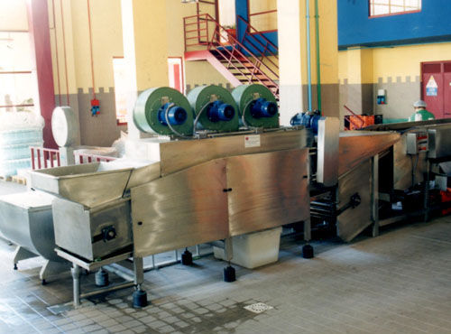 Lavadora de cítricos - Agromeccanica srl