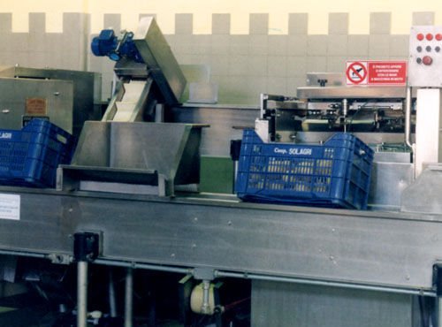Peladora cítricos - Agromeccanica srl
