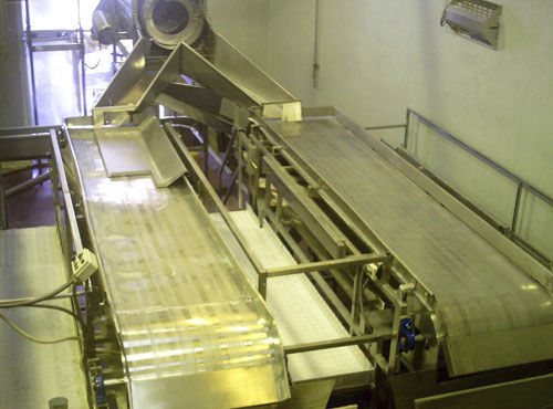 Cinta clasificadora - Agromeccanica srl