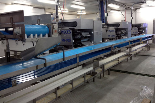 Degolladora evisceradora para pescadillas - PN-700 - Pisces Fish Machinery Inc.