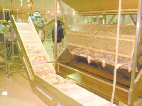 Descamadora automática - DS Series - Pisces Fish Machinery Inc. - semiautomática