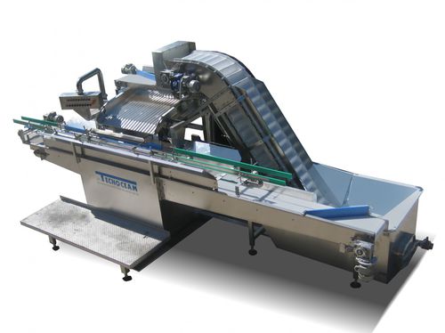 Llenadora automática - RAU - TECNOCEAM - de botes / de latas de conserva / para productos alimentarios