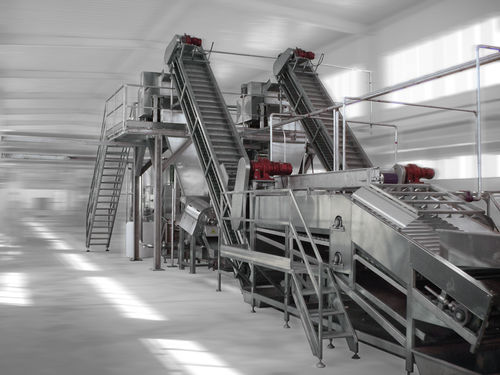 Línea de producción de zumo de frutas de calibrado - Alimenta Industries S.r.l. - de colocación / de clasificación / de esterilización