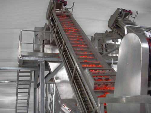 Línea de procesamiento de tomates - Alimenta Industries S.r.l. - de pulido / de clasificación / de lavado