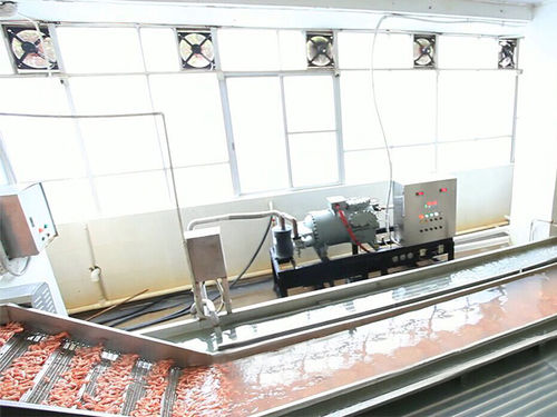 Refrigerador de agua - ZD-XL 6000 - Shrimp Machine - para langostinos / de acero inoxidable / con transportador de cinta