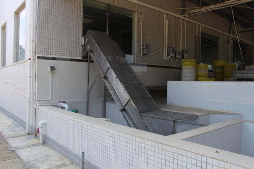 Transportador de banda - ZD-YL 3500 - Shrimp Machine - de cinta de rejillas / elevador / para pescado