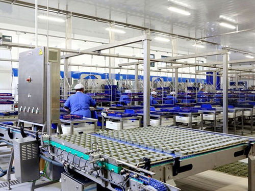 Sistema de alimentación de latas - Hermasa - Cannin Technology - para recipientes vacíos