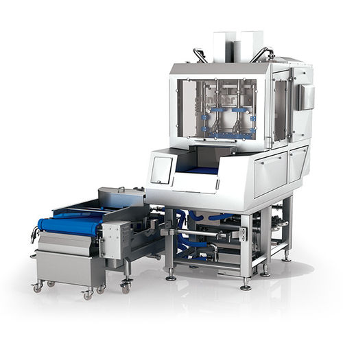 Inyector de salmuera para pescado - PI, MC2R PI series  - Günther Maschinenbau GmbH - para carne / para queso