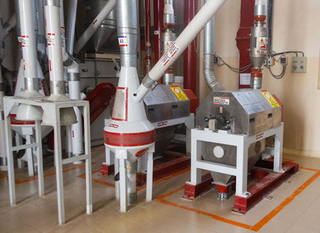 Línea de producción de cereales - OCRIM - para la industria alimentaria