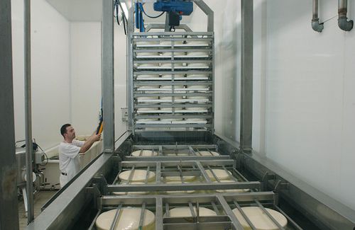 Máquina de salazón para queso dinámica - PRIAMO FOOD TECHNOLOGIES