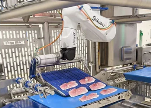 Robot articulado - ELCAT FOOD TECHNOLOGY - pick and place / de carga / de llenado