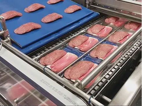 Empacadora de bandejas horizontal - ELCAT FOOD TECHNOLOGY - automática / para queso / de carne