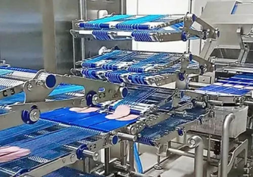 Máquina de embalaje de solapados por - ELCAT FOOD TECHNOLOGY - automática / continua / para productos alimentarios
