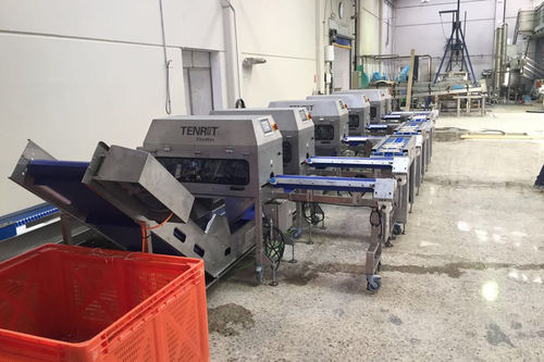 Línea de pelado de espárragos - TENRIT Foodtec Maschinenbau GmbH