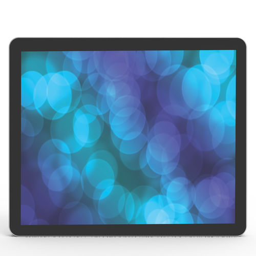 Panel PC TFT LCD - DS120E - Shenzhen ZhengYuanTai Technology,Co,.Ltd. - retroiluminación LED / pantalla táctil capacitiva PCAP / 12,1"