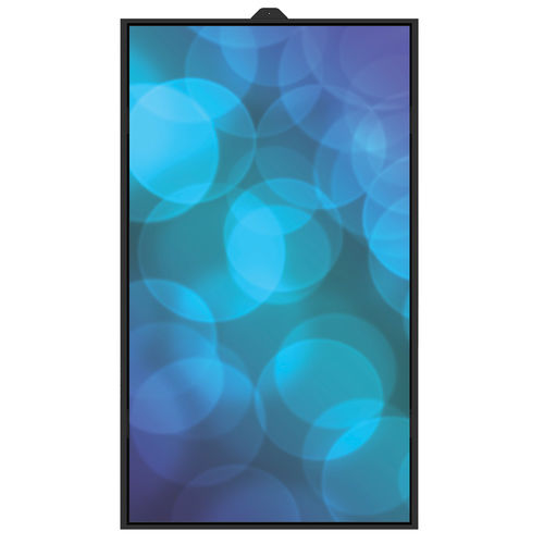 Visualizador TFT LCD - DS650HB - Shenzhen ZhengYuanTai Technology,Co,.Ltd. - 1920 x 1080 / 65" / HDMI
