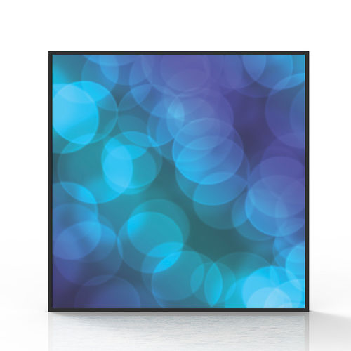 Visualizador TFT LCD - SS220Q - Shenzhen ZhengYuanTai Technology,Co,.Ltd. - con pantalla táctil capacitiva / 1920 x 1920 / 22"
