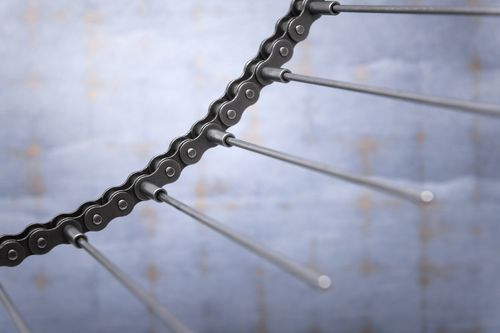 Cadena de transmisión - Iris Chains - de acero / para cadena
