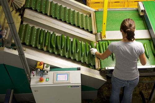 Máquina clasificadora para la industria agroalimentaria - QSORT - Greefa - automática / para fruta / para verdura