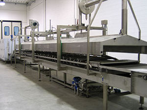 Línea de producción de pasta fresca - Food Tech S.r.l. - nido / con refrigeración / pasteurización