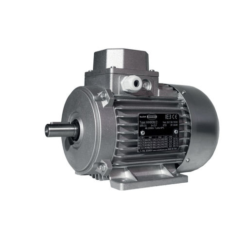 Motor asíncrono - H-MA-MTS series - MOTORI BONORA SPA - trifásico / con dos bobinas / con rotor jaula