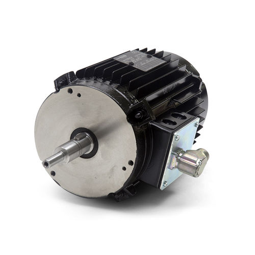 Motor de inducción - MOTORI BONORA SPA - AC / con brida de hierro fundido / reforzado