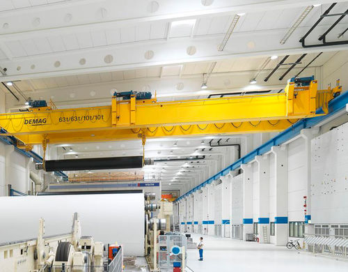 Puente grúa de riel doble - Alexandria Crane Systems