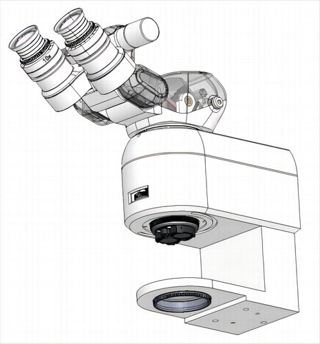 Microscopio óptico - Fujian RISING EO Technologies CO.,LTD - médico / binocular / con zoom