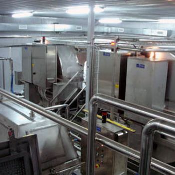 Línea de producción de queso automática - Sordi SRL