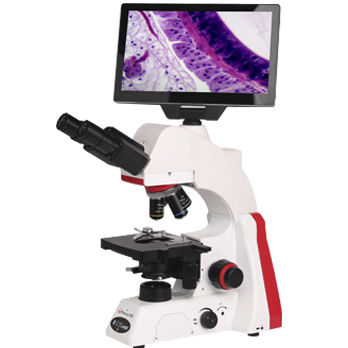 Microscopio digital - BMC100 - Phenix Optics Co., Ltd - industrial / médico / de mesa