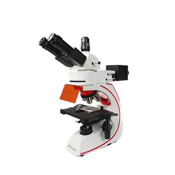 Microscopio óptico - BMC533-FLED-UVBG - Phenix Optics Co., Ltd - para la investigación / médico / trinocular
