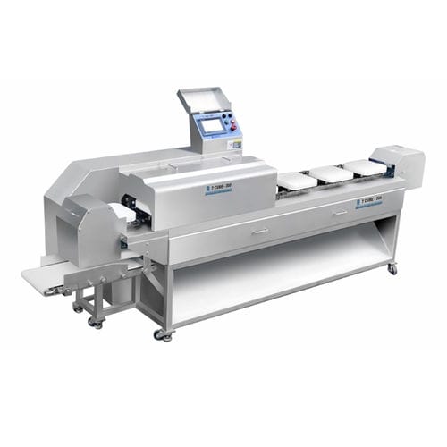 Cortadora de carne - T CUBE - 300 - IRE-KOREA - para productos congelados / automática / de pie