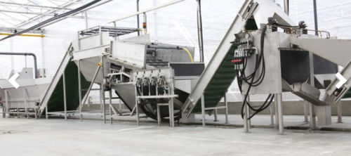 Instalación de manutención para la industria alimentaria - Koppert Machines & Zonen B.V. - automática / de alta productividad