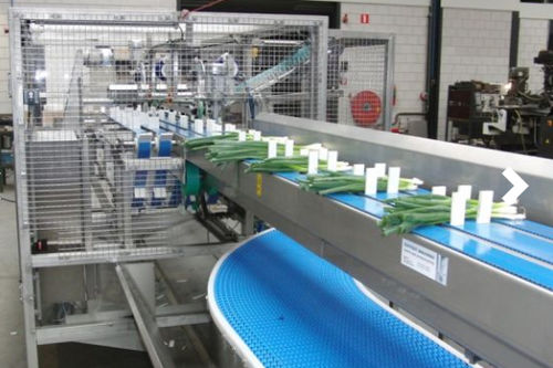 Línea de procesamiento de hortalizas - Koppert Machines & Zonen B.V.