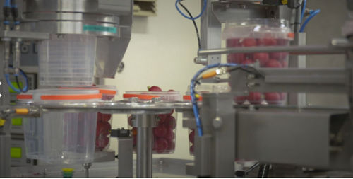 Máquina de llenado automática - Koppert Machines & Zonen B.V. - de vasos / de productos alimentarios / para la industria agroalimentaria