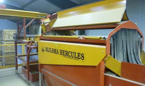 Lavadora agroalimentaria de cepillo - BBM 1710 - Bijlsma Hercules BV - de cebollas / para patatas / con transportador de cinta