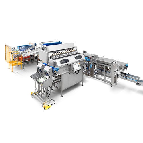 Pesadora lineal - CALIBRA WEIGHER.F12 - CALIBRAFRUTA LDA - electrónica / para la industria agroalimentaria / de acero inoxidable