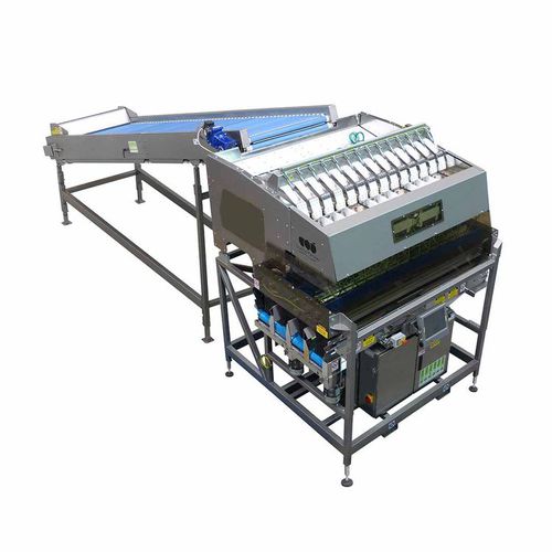 Pesadora electrónica - W series - Sorma S.p.A. - de ajos / para fruta / para tomates
