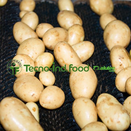 Línea de procesamiento de patatas - Alutec Food CAMPESATO® - de lavado / de clasificación