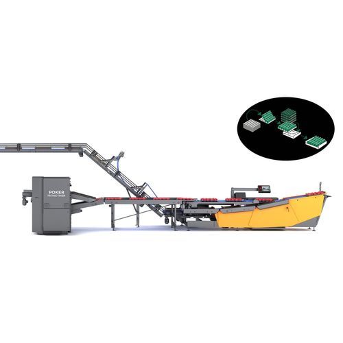 Línea de embalaje para la industria alimentaria - Poker - FRUTMAC SRL - para productos alimentarios / de bandejas / para cajas