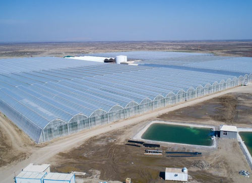 Placa de polietileno - Gakon Horticultural Projects BV