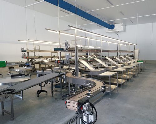 Línea de embalaje para la industria alimentaria - GAMACO S.r.l. - para multiproductos