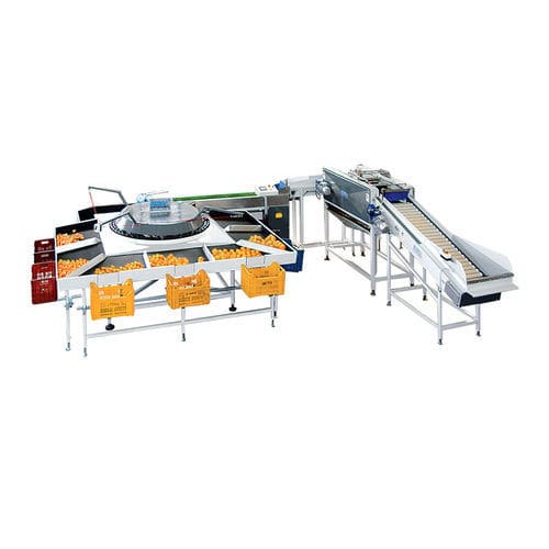 Máquina clasificadora para la industria agroalimentaria - ICOEL S.r.l. - automática / para fruta / rotativa