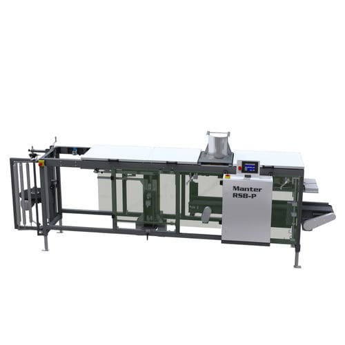 Ensacadora horizontal - RSB-P - Manter International b.v. - ponderal / automática / para sacos de boca abierta
